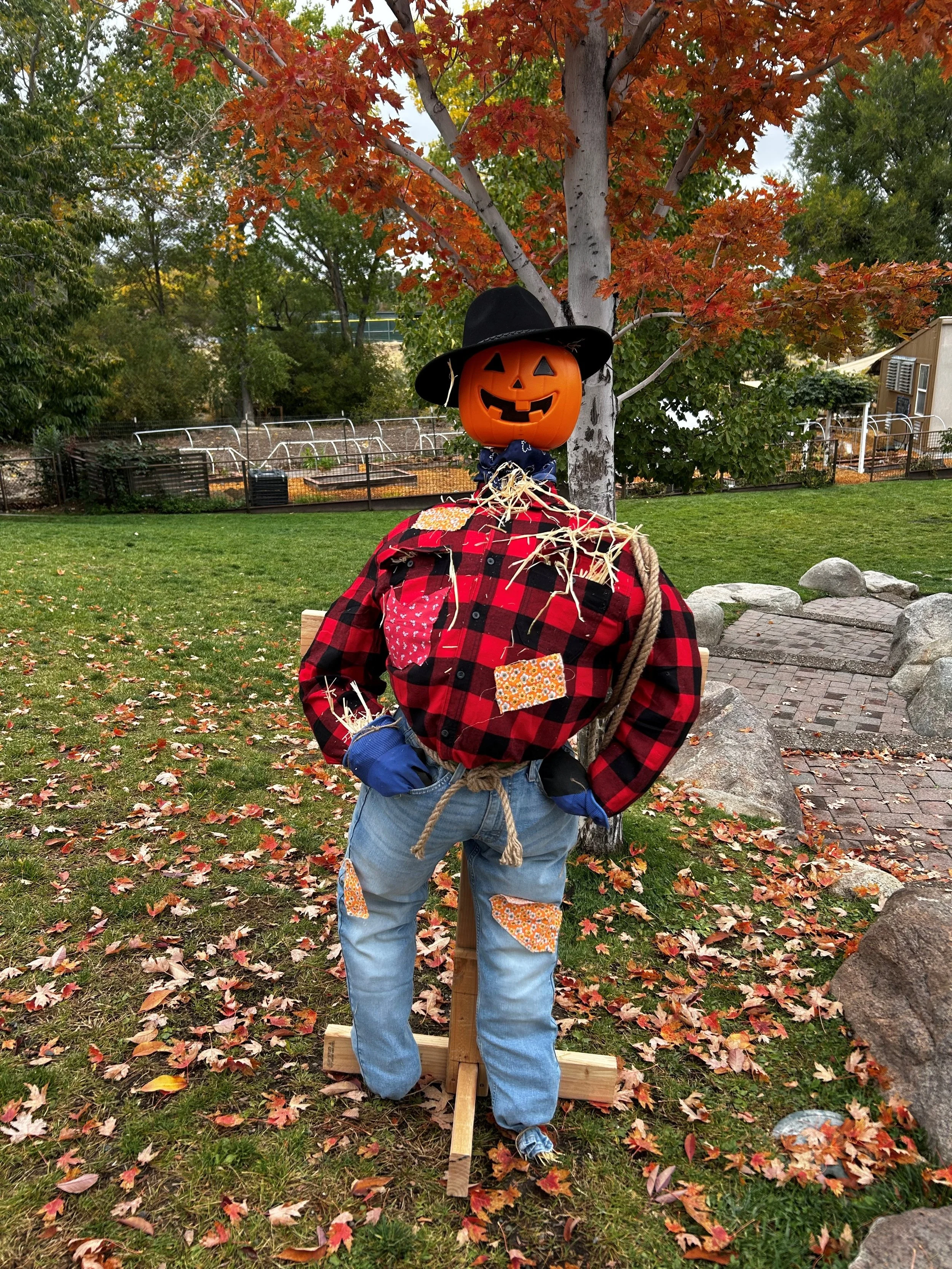 Scarecrows for Good — Mountain View Montessori School